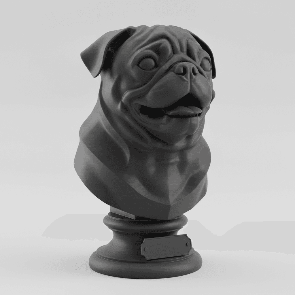 Busto Carbón